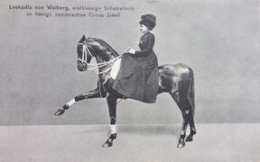 1898